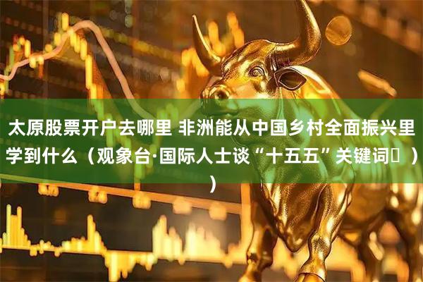 太原股票开户去哪里 非洲能从中国乡村全面振兴里学到什么（观象台·国际人士谈“十五五”关键词⑭）